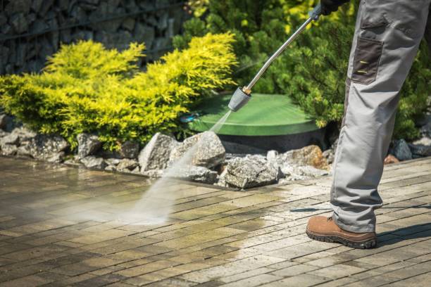Best Window and Screen Pressure Cleaning in Pocahontas, IA