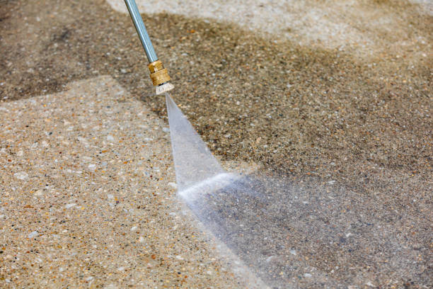 Best Soft Washing for Delicate Surfaces in Pocahontas, IA