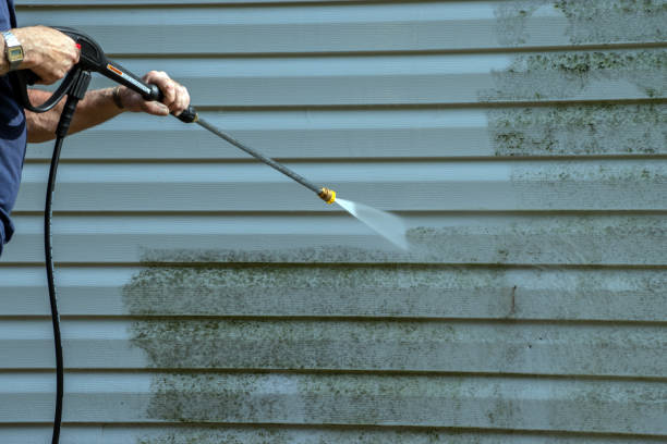 Best Driveway Cleaning and Restoration in Pocahontas, IA